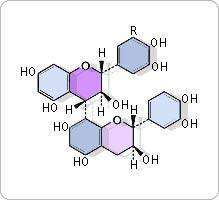 oligo-proanthocyanidines pépin de raisin