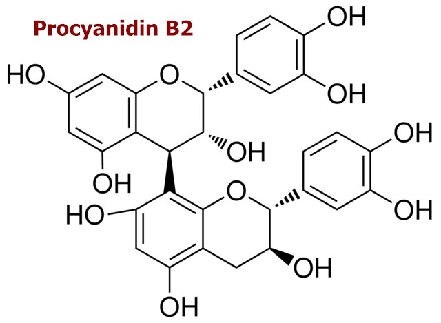 procyanidine B2